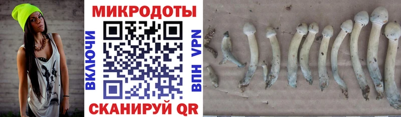 Купить  Кувандык  Галлюциногенные грибы мицелий 